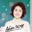 7080 콘서트 Daum카페