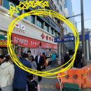 안양왕약국 | [안양 약국 성지] 체질 상담부터 반려동물 영양제, 맞춤 영양제까지! 건강 관리는 '안양 왕약국'에서!