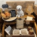 프라하 노래연습장 이미지