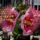 오용재 이미지