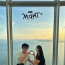 멍멍닷컴 | 해운대 놀거리 커플 가볼만한곳 부산엑스더스카이 카페