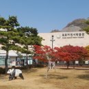 목포자연사박물관 이미지