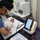 24시 건국 본 동물병원 이미지