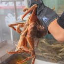 대영건어물 - 고령군 시장3길 29 | 대영건어물
