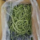 참샘 농원 | 농라 참샘농원 깐고구마순 1kg, 호박잎 1kg 후기