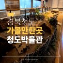청도박물관 | 아이 반응 달랐던 경북 여행 코스, 청도 아이와 가볼 만한 곳 청도 박물관