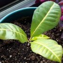 원해경로당 이미지