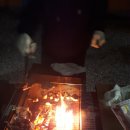 청평아이리스 이미지