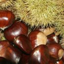 용봉농장 이미지