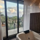 밀크인제주 | 서귀포 숙소 추천 : 밀크인제주 독채 펜션 다녀온 솔직 후기