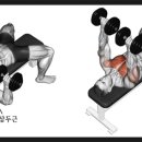 리메디얼 휘트니스 전남대점 이미지