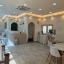 링크애견샵 이미지