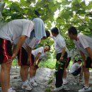 이재철농장 이미지