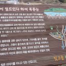 평동초교 이미지