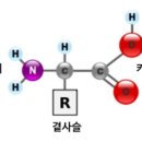 주식회사 큐브 네이버블로그