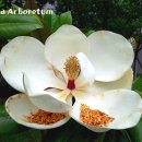 한라수목원 이미지