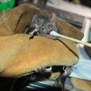 gc-camera-001 이미지