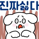 릴리리독 이미지