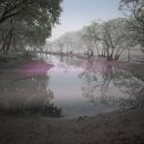 아침에풍경 이미지