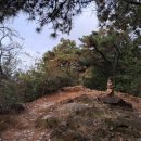 봉제산 오리나무쉼터 이미지