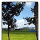 삼종농장 이미지