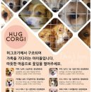 허그도그 이미지