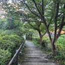 홍정명지석 이미지