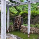 참한간장게장 이미지