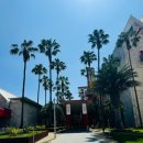 라끄망 | [LA여행] 24.5.11 10박 11일 그 마지막. LACMA/트레이더조/노아 베이글, Salt&amp;straw,치폴레 그리고...