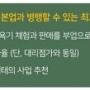 인셀덤평촌샵