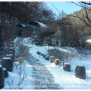 대형농장 이미지