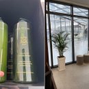헤어룸 211 | 김포 미용실 김포 24시 미용실, 반려동물과 함께 가기 좋은 헤어룸 211 후기 24시 헤어룸 211
