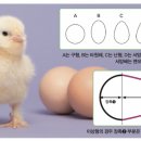 수학의이상형