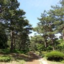 남산약수터 이미지