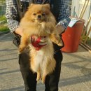 3.15대로 이미지