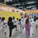 홍천체육관태권도장 이미지