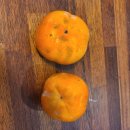 이솔라안티카 이미지