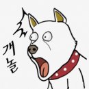 생선집 이미지