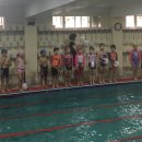 은아유치원 이미지