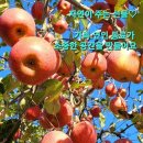 웰빙쉼터 이미지