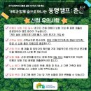 춘천워커즈협동조합 | “무료 가족캠프” 동행캠프 춘천 신청방법 총정리 (+3분 마감 주의)