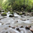 백록담한의원 이미지