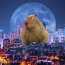 (주)휴스퀘어 이미지