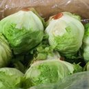 새마을로3길-2 이미지