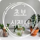 남사환경 | [내돈내산] 1년차 초보식집사의 식물 소개｜용인 남사화훼단지 에르베플라워 방문 후기(과거형)