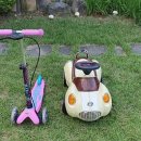 배나무실의 아침 이미지