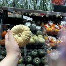 현대오토킹 이미지