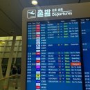 472 | [필리핀 보홀] 필리핀항공 PR473, PR472 보홀행 탑승후기 (2시간 지연..) -가격,체크인,좌석,기내식 맛...