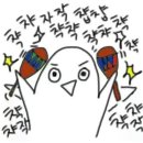 크루모터스 이미지