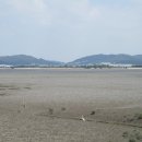8월 5일 궁평항-백미항(경기둘레길-48코스=화성시) 이미지